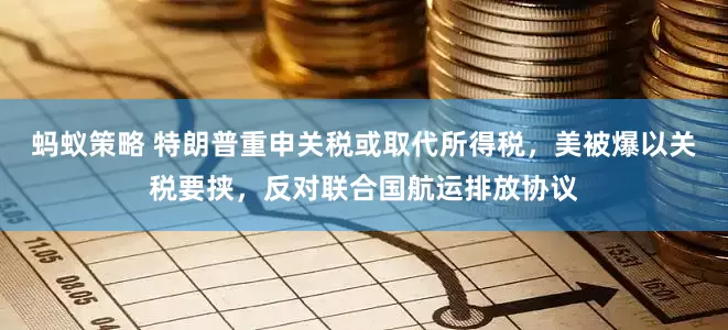 蚂蚁策略 特朗普重申关税或取代所得税，美被爆以关税要挟，反对联合国航运排放协议