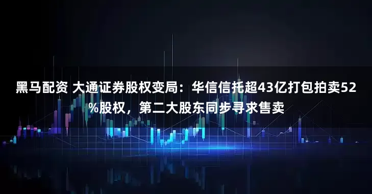 黑马配资 大通证券股权变局：华信信托超43亿打包拍卖52%股权，第二大股东同步寻求售卖